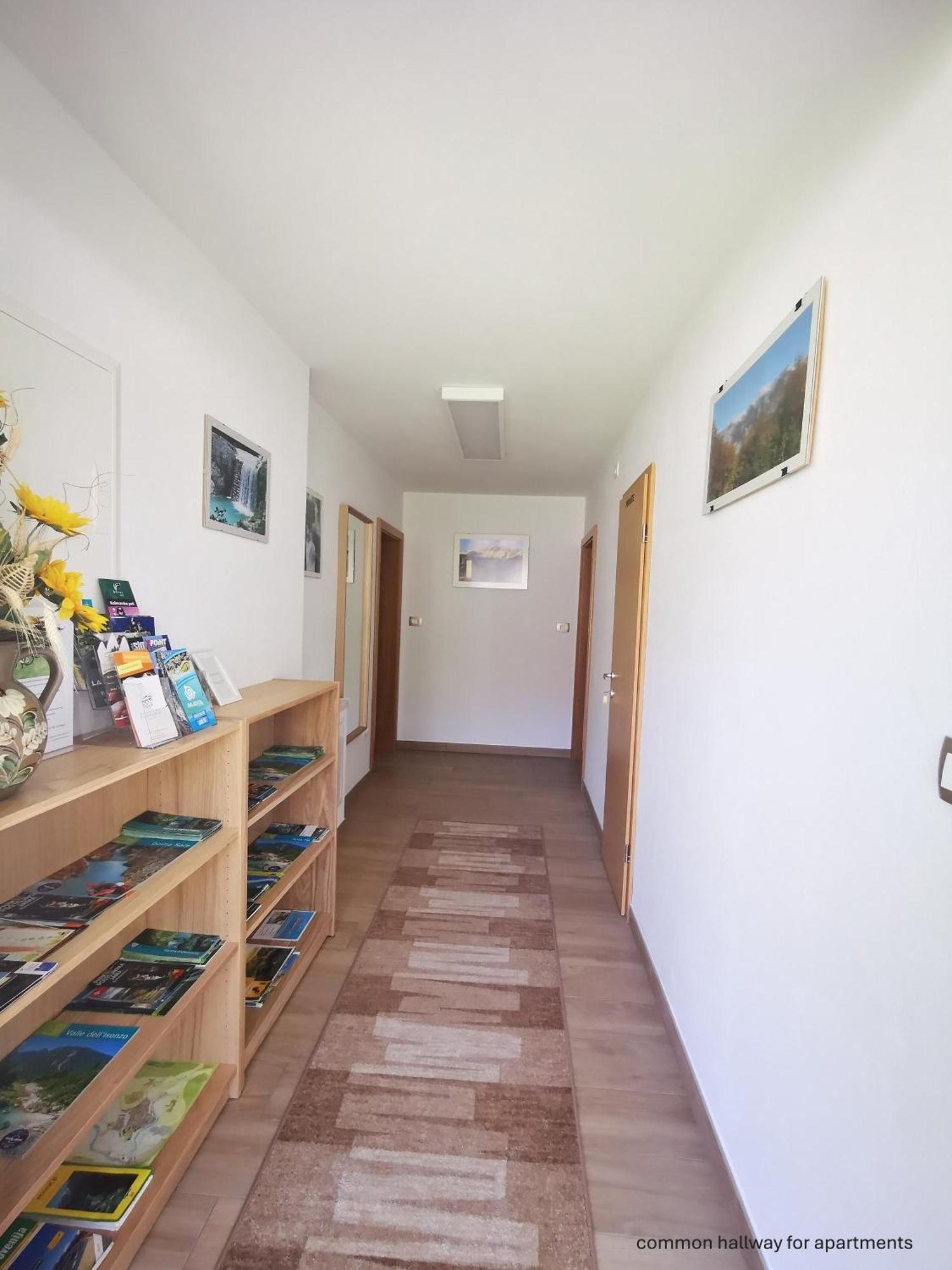 Apartment And Room Anica Tolmin Εξωτερικό φωτογραφία